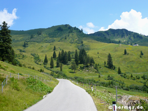 Blick zum Widderstein