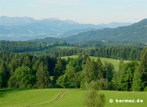 Blick zum Bregenzer Wald