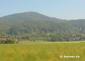 Der Melibokus